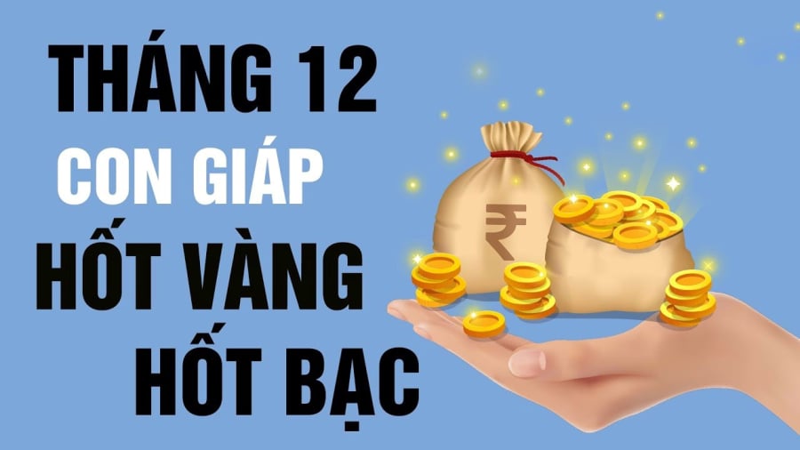 Tuổi Dậu vốn chăm chỉ, cầu tiến và kiên trì khác người. Bước sang tháng 12/2025, vận trình của Dậu chuyển từ ổn định sang phát mạnh, đặc biệt là đường tiền tài.