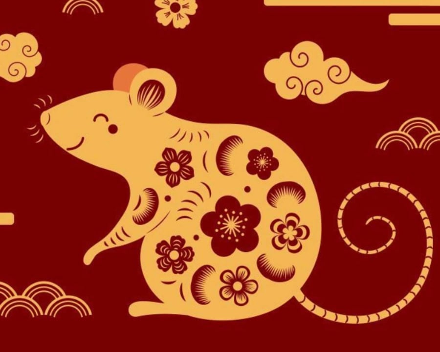 Những người tuổi Tý nổi tiếng thông minh, nhạy bén. Ảnh minh họa