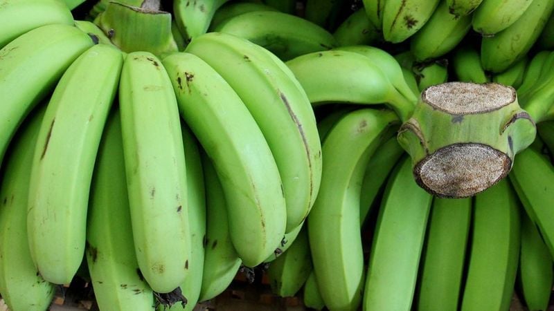 Chuối xanh là thực phẩm được nhiều người đặc biệt yêu thích
