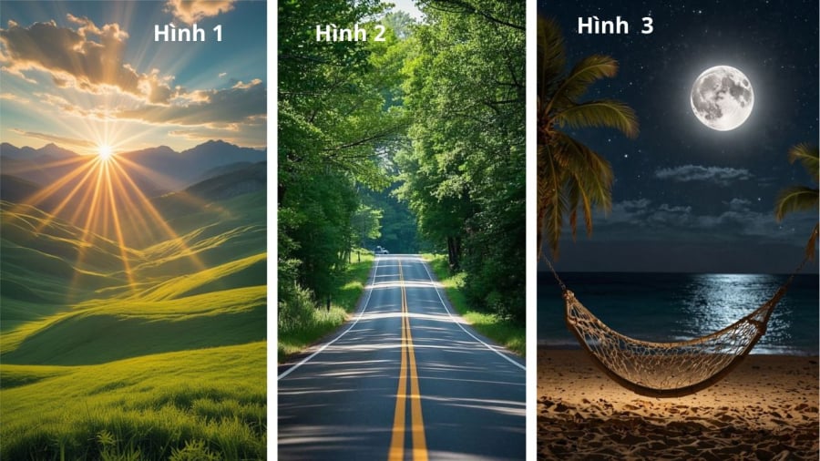 Bạn chọn hình nào?