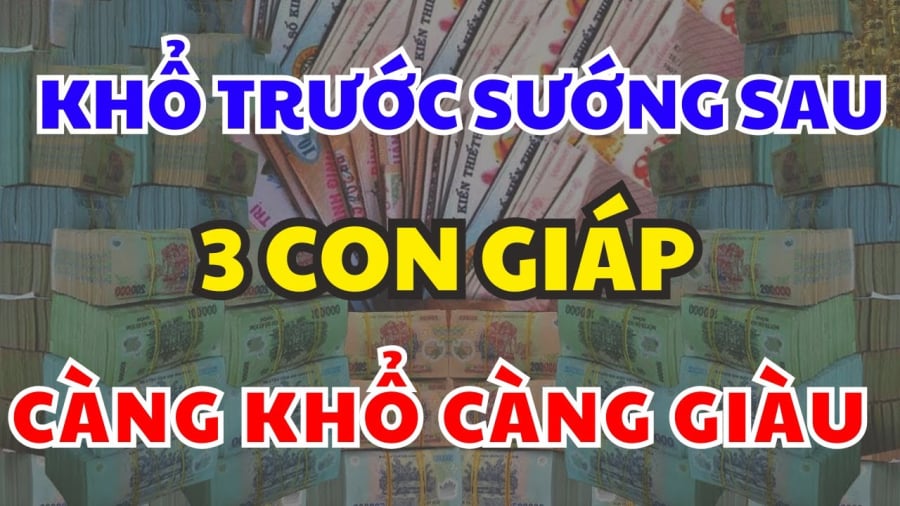 Ba con giáp Dần – Mùi – Hợi là những người có “số vất vả sớm, hưởng phúc muộn”. Cuộc đời của họ như cây chịu gió bão lúc còn non, nhưng càng già càng vững, càng cứng cáp. 