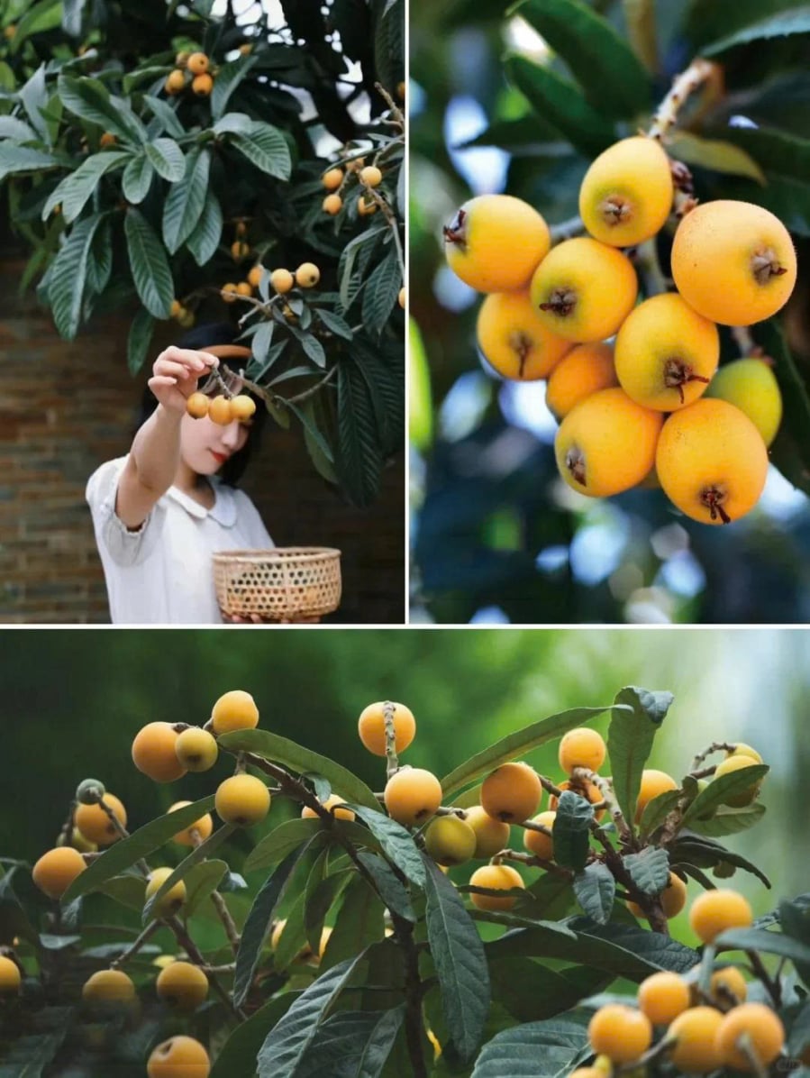 z7271400658594_ed446cc139686fdb840f2167b3c3d55d