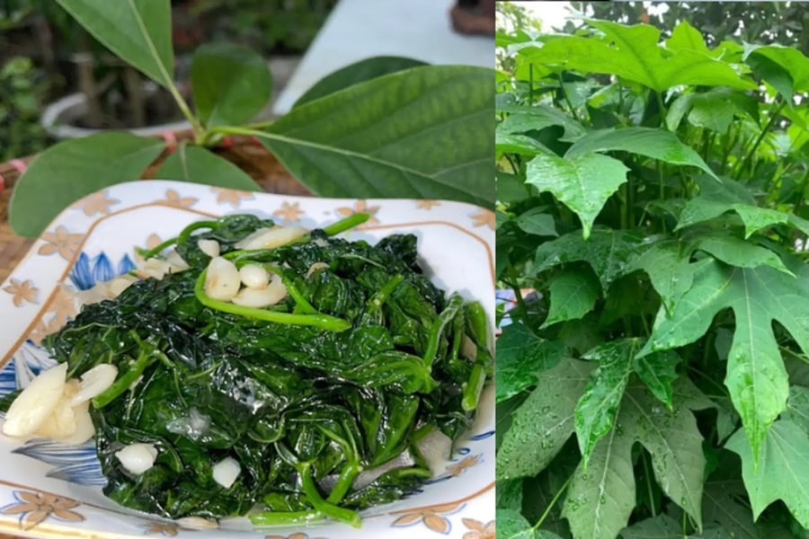 Loại rau ngọt ngang mì chính, bổ ngang nhân sâm, giá 40 nghìn/ bó