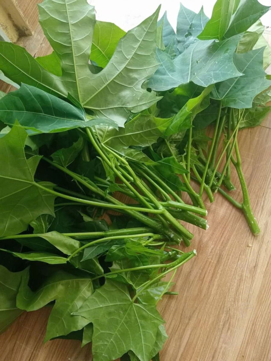 Loại rau ngọt ngang mì chính, bổ ngang nhân sâm, giá 40 nghìn/ bó