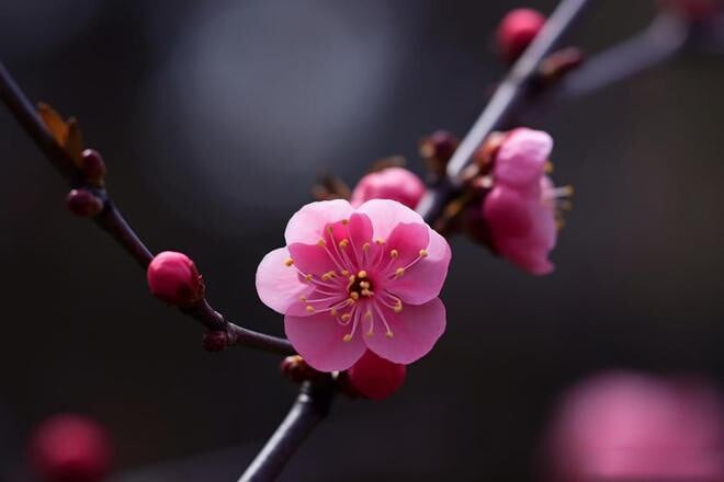 phu-nu-khon-ngoan-biet-gia-ngoc-trong-3-tinh-huong-nay-ti-xung-4-1736739610-248-width660height440