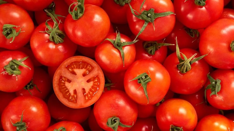 Cà chua thực phẩm màu đỏ tốt cho thận