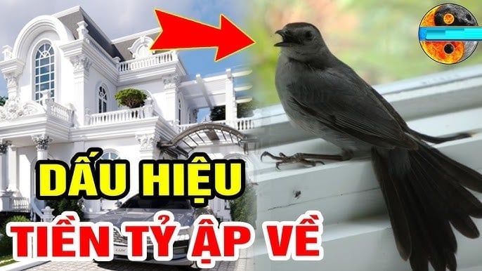Con vật vào nhà giàu có
