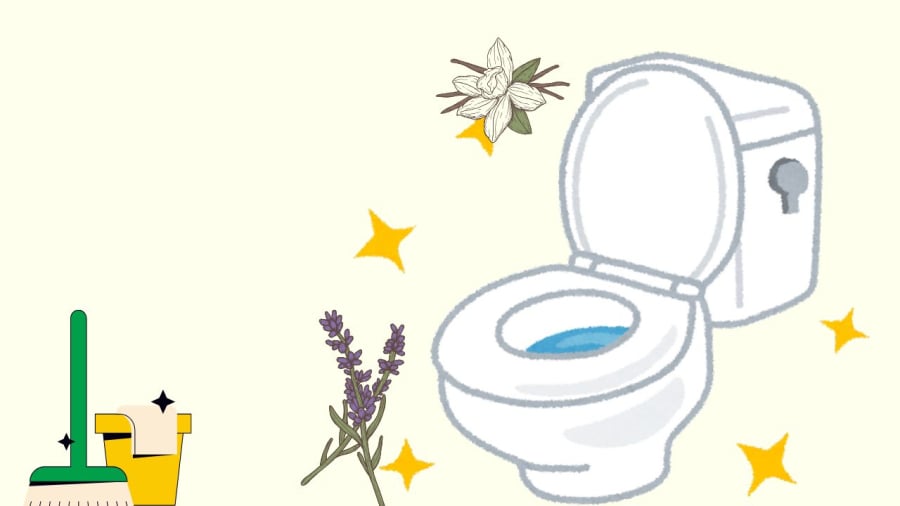 Mùi cống là thủ phạm khiến nhà vệ sinh hôi và bẩn