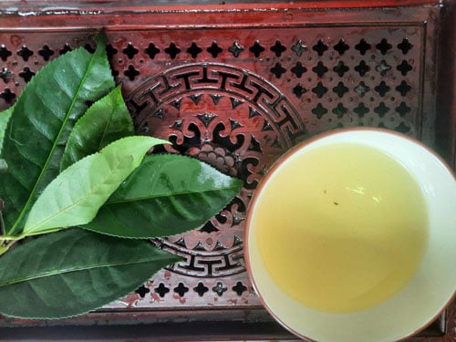 Cách hãm nước chè tươi uống mát gan, bổ thận