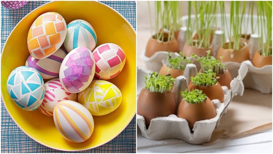 Những mẹo hay từ vỏ trứng bỏ đi