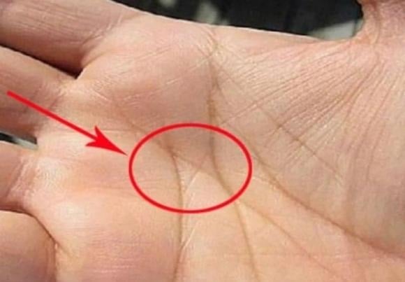 Khi các đường Sinh đạo, Tâm đạo và Trí đạo giao nhau tạo thành hình giống chữ M, người sở hữu thường có trực giác nhạy bén, tư duy sắc sảo và gặp nhiều thuận lợi trong công việc.