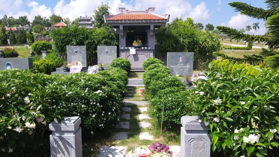 Gia chủ nên chú ý về các loại cây không nên trồng quanh mộ để tránh làm ảnh hưởng đến phong thủy âm trạch.