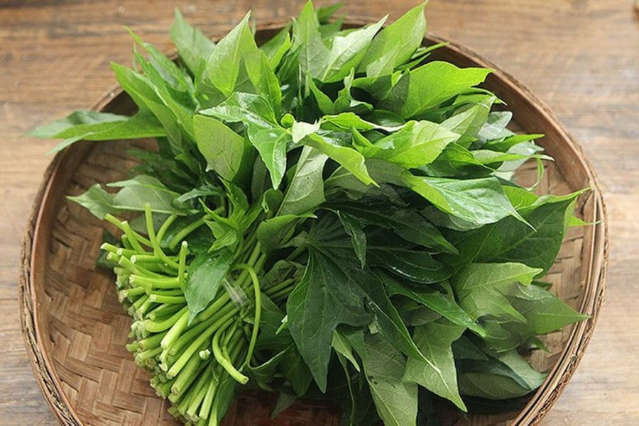 Trong 100g lá khoai lang có 180mg canxi, cao hơn cả lượng canxi trong cùng lượng sữa. Ảnh minh họa