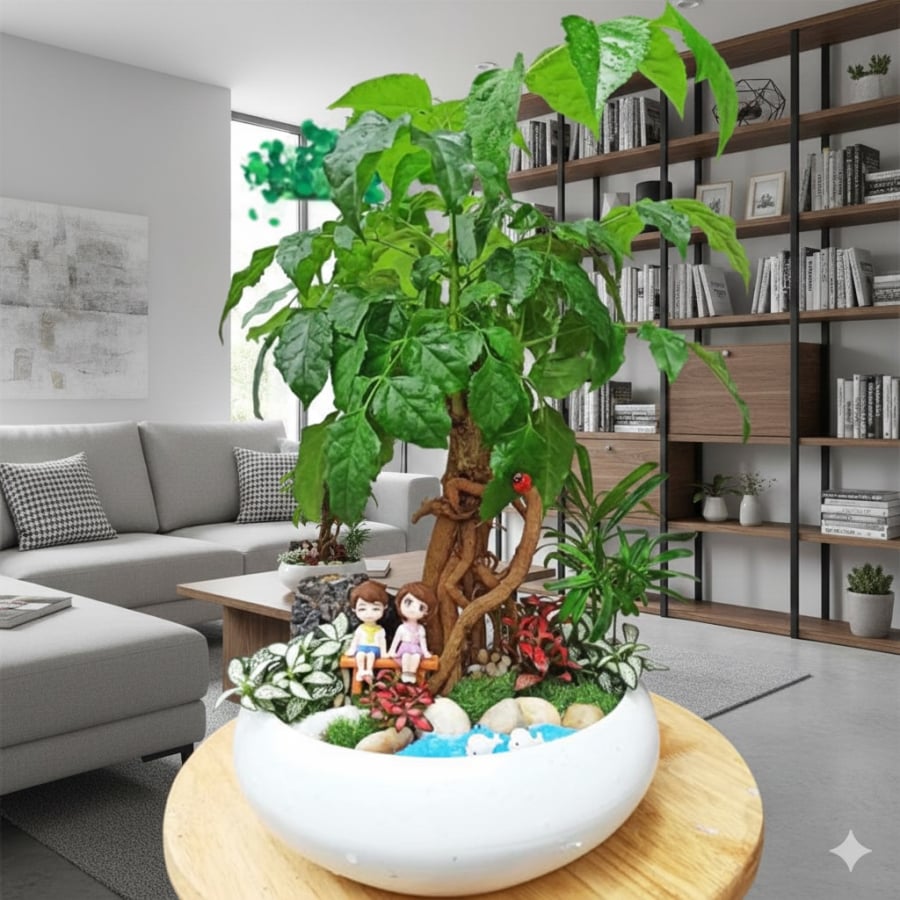 Chăm sóc đúng cách giúp cây Hạnh phúc xanh tốt quanh năm và lan tỏa nguồn năng lượng tích cực vào không gian.