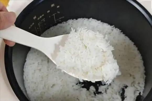 Cơm là thực phẩm cơ bản trong bữa ăn hàng ngày, nhưng việc bảo quản cơm thừa cũng cần lưu ý.