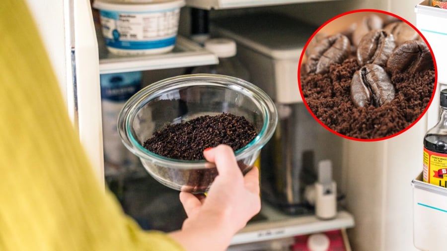 Bạn có thể sử dụng chè khô hoặc bã cà phê để khử mùi hôi của tủ lạnh.