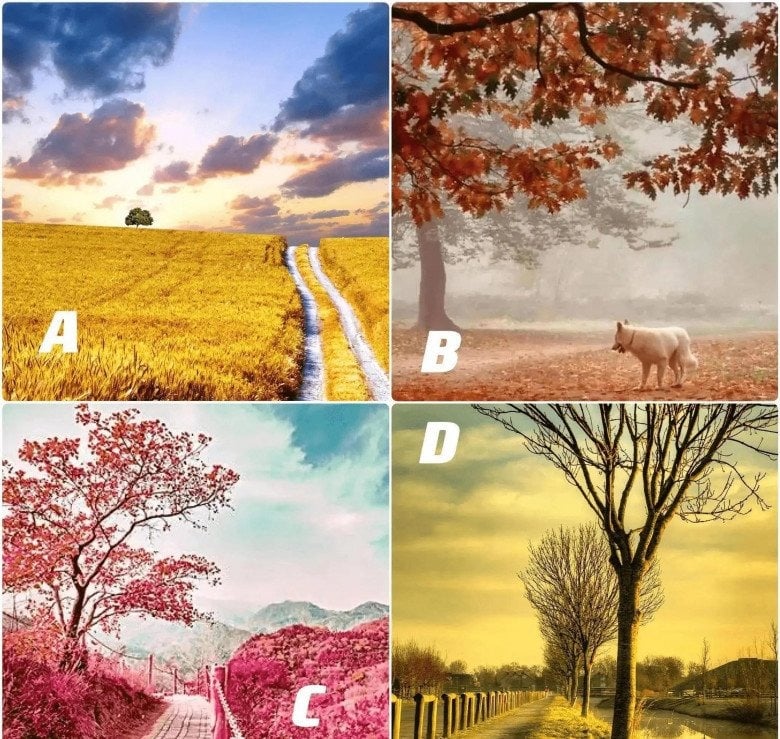 Chọn 1 bức tranh nhé!