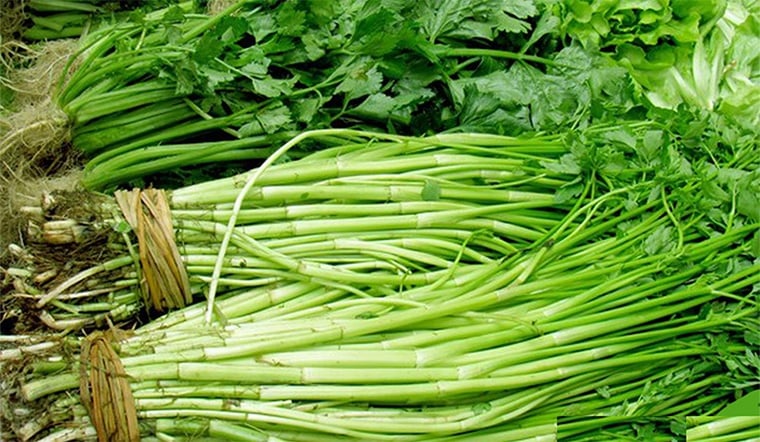 Rau cần nước dễ nhiễm sán nếu trồng ở ao hồ ô nhiễm – cần rửa kỹ và nấu chín hoàn toàn.