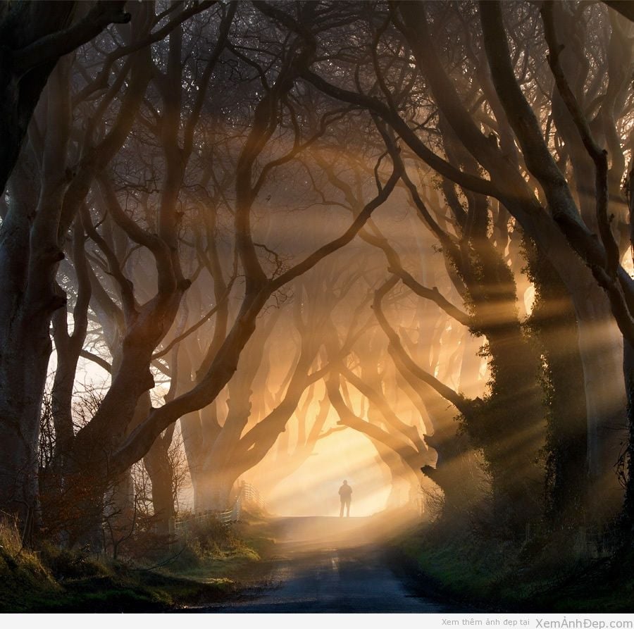 Bạn cảm giác gì?