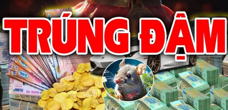 Tuổi Tý trúng đậm