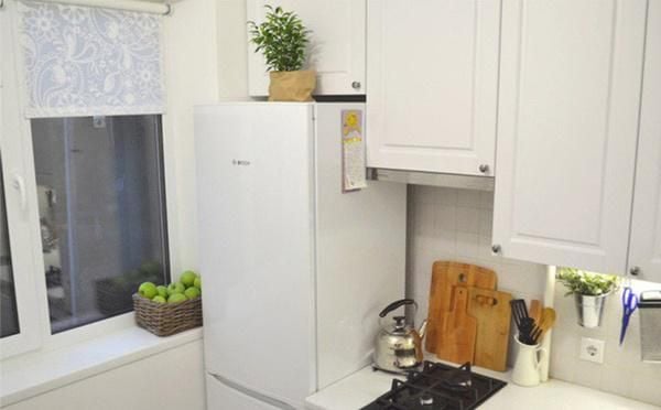 Cây cảnh đặt trên nóc tủ lạnh vừa hại cây vừa gây khó cho gia chủ