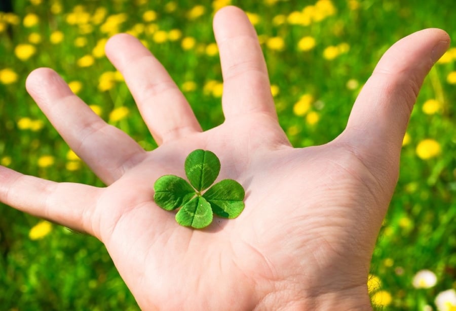 Tất cả những gì bạn phải làm là nắm bắt cơ hội đã được trao và đầu tư vào các hoạt động khác có thể làm tăng thêm sự giàu có của bạn. (Ảnh minh họa)