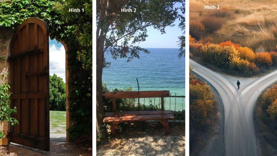 Bạn chọn hình nào?