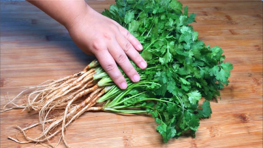 Cách Bảo Quản Rau Mùi Tươi Lâu, Cả Tháng Vẫn Xanh Mướt, Thơm Ngon Trước Khi Bảo Quản Rau Mùi, Bạn Có Thể Sơ Chế Để Loại Bỏ Đất Cát, Giúp Ngăn Chặn Vị Khuẩn Phát Triển.