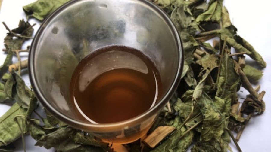 Cách ᴜṓng ʟá xạ ᵭen giải ᵭộc cơ thể, cực tṓt cho gan ʟại giúp ᵭẹp da, ngủ ⱪhỏe