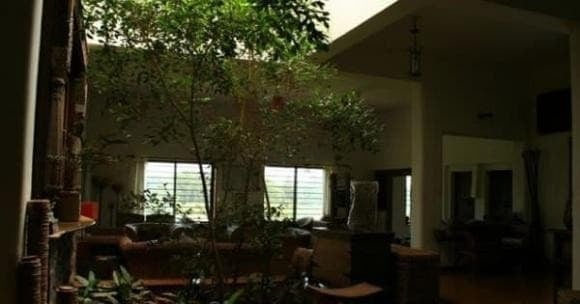 Ánh sáng tượng trưng cho dương khí trong phong thủy.