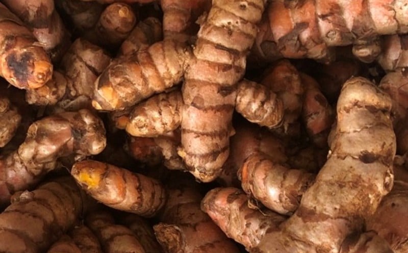 Tuy nhiên, người có bệnh lý gan nặng, đang dùng thuốc điều trị hoặc phụ nữ mang thai cần tham khảo ý kiến chuyên gia trước khi sử dụng nghệ thường xuyên.