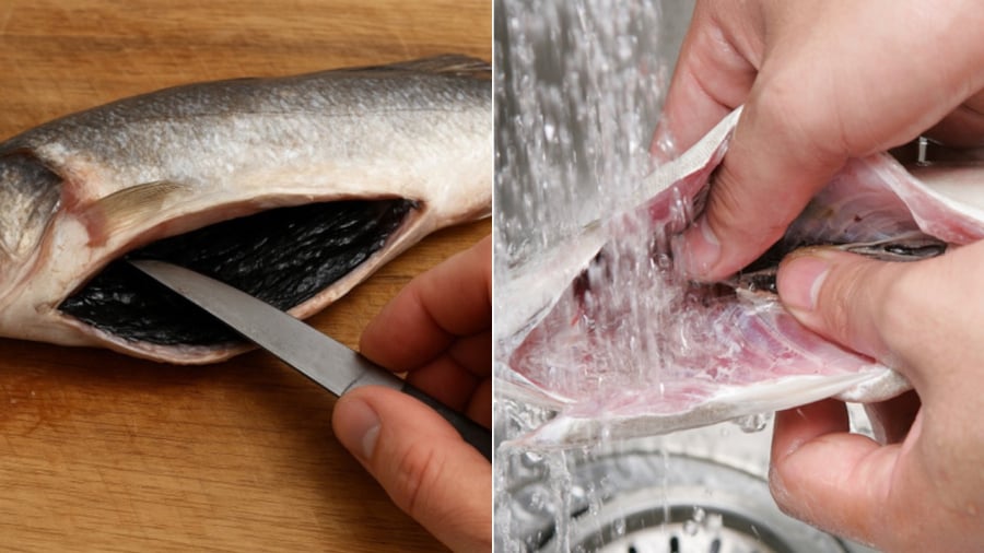Vì Sao Phải Cạo Sạch Lớp Màng Đen Trong Bụng Cá Trước Khi Nấu? Khi Sơ Chế Cá, Bạn Nên Cạo Sạch Phần Màng Đen Trong Bụng.