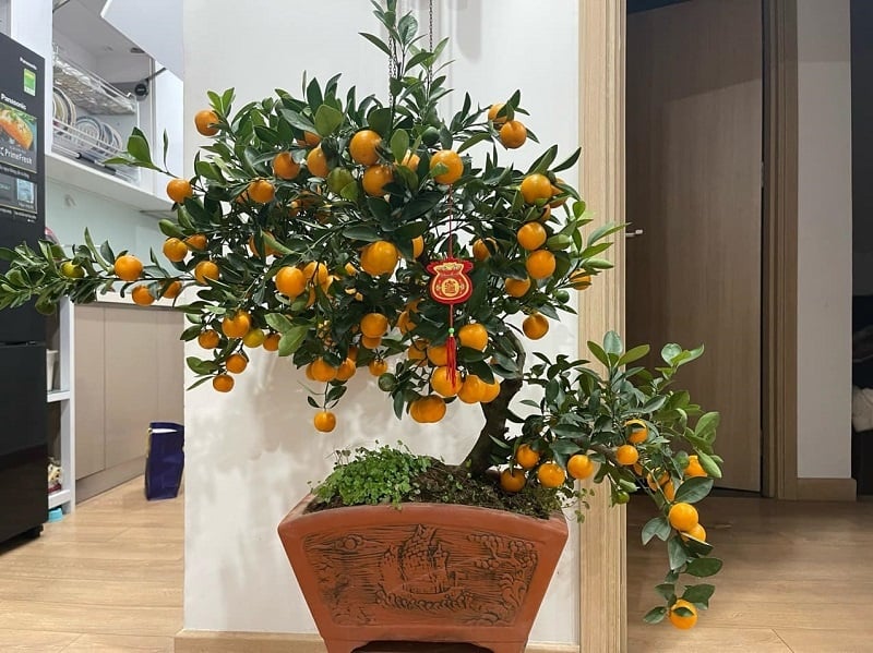 -7634-1738986999_860x0