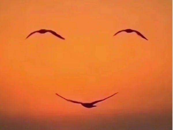 Hãy chọn hình ảnh bạn nhìn thấy đầu tiên trong bức tranh nhé!