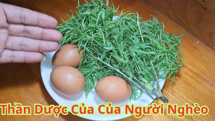 Trong y học dân gian, đinh lăng từ lâu đã được xem là loại cây quen thuộc nhưng có giá trị cao. Với người lớn tuổi, việc dùng đinh lăng đúng cách còn giúp cơ thể linh hoạt hơn, giảm cảm giác cứng khớp vào buổi sáng.