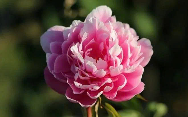 z7331944382901_d14dd7d8816a93b7dde477aea7f63561