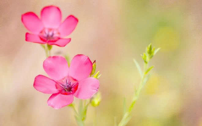 z7331944953232_d4813ee7e52012be37bb40799163f789