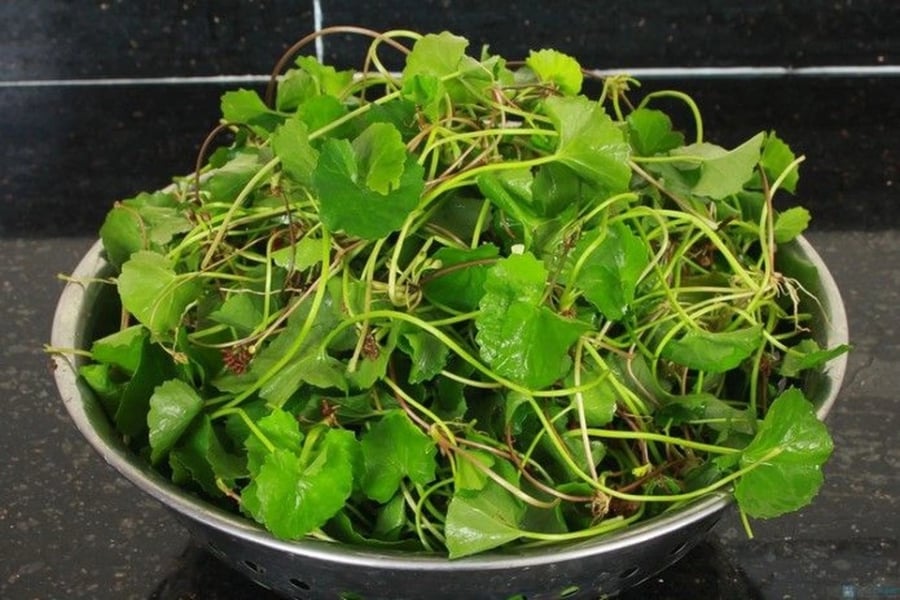 Người hay nổi mụn, nóng trong, miệng đắng, cơ thể bức bối có thể bổ sung rau má 2–3 lần/tuần. Tuy nhiên, không nên lạm dụng uống quá nhiều trong thời gian dài để tránh lạnh bụng.    