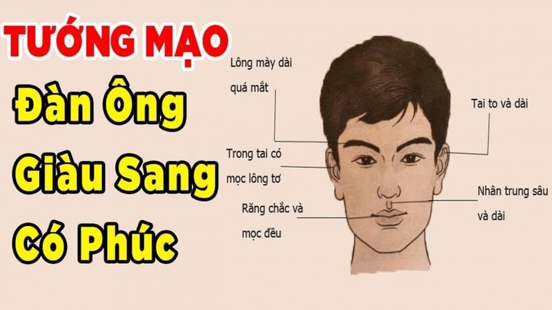 4 Nét Tướng Của Người Đàn Ông Phúc - Lộc - Thọ Tề Tựu: Càng Già Càng Giàu Có Tướng Đàn Ông Giàu Sang Phú Quý