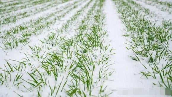 Bên cạnh đó, mùng 1 tháng 11 âm lịch còn rơi vào “ngày đóng” trong chu kỳ 12 ngày theo quan niệm chọn ngày truyền thống. Ngày đóng tượng trưng cho sự ngưng trệ, bế tắc, thích hợp cho tĩnh hơn động. 