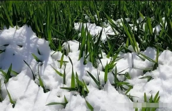 Chẳng hạn, có câu nói quen thuộc: “Không sợ mùng 1 âm lịch nhiều mây, chỉ sợ mùng 1 nắng chang chang”. 