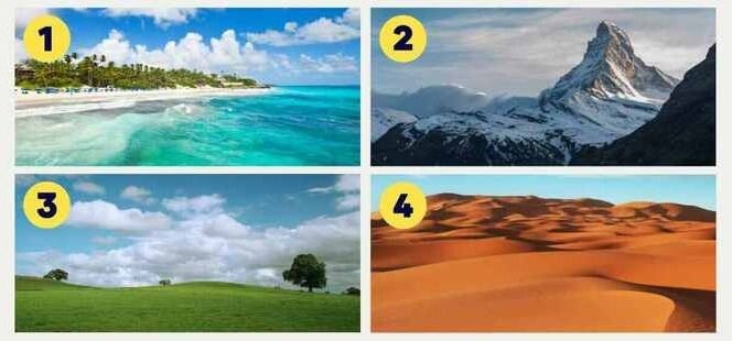 Hãy chọn 1 địa điểm du lịch nhé!