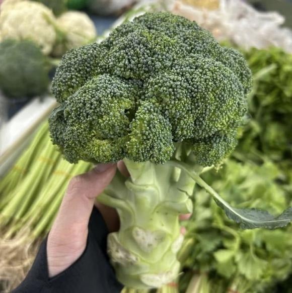 Điều bất ngờ là phần nụ hoa vốn được dùng nhiều nhất lại không phải là nơi chứa nhiều sulforaphane nhất.