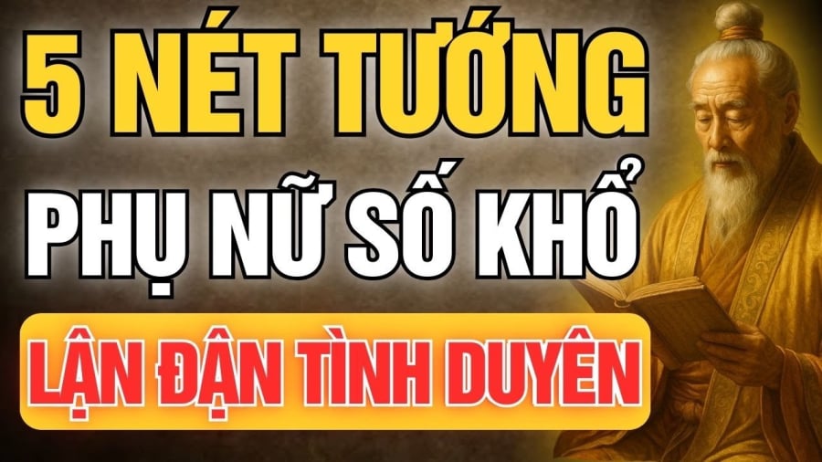 net tuong