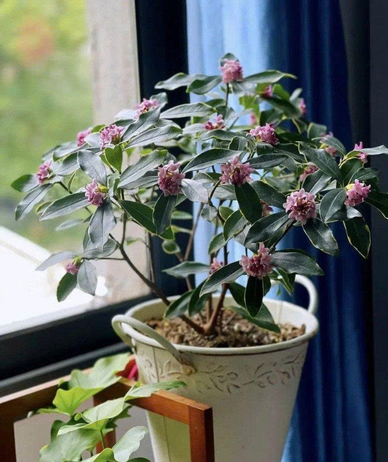 z7352576713971_7ca3c3659a1cc635706ab0af89b03a0c