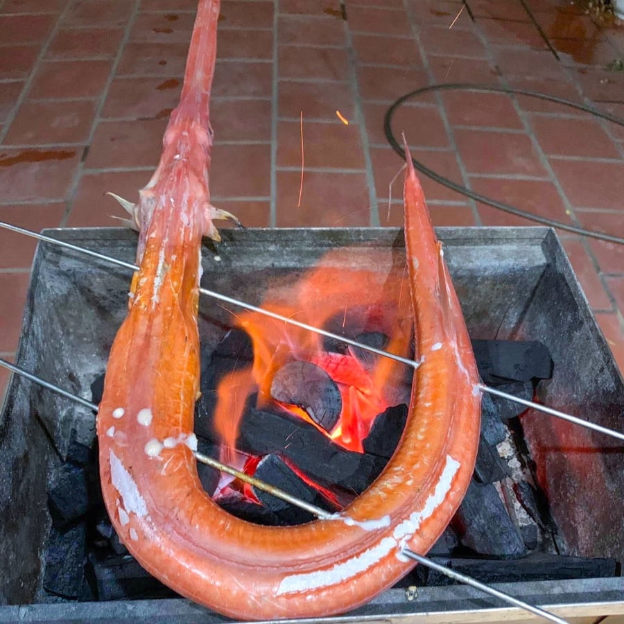 Cá chìa vôi là loài cá biển quý, sinh sống chủ yếu ở các vùng biển nhiệt đới và cận nhiệt đới. 