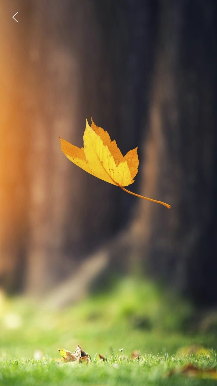 Người xưa dặn nhìn xa trông rộng nhưng cuối cùng vẫn thuận theo tự nhiên