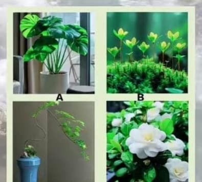 Bạn là người lương thiện, chân thành, thông minh và giàu năng lực.