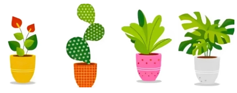 Chọn 1 chậu cây nhé!