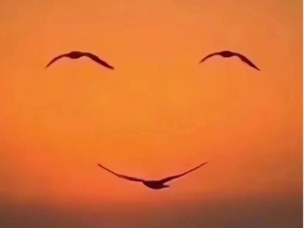 Chọn thứ bạn nhìn thấy trong bức tranh nhé!